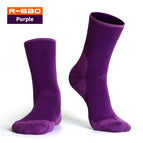 Purple / M