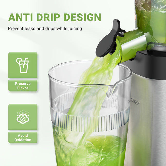 Fruit & Vegetable Masticating Extractor | No Pre-Cutting Required  Stainless Steel Cold Press Juicer