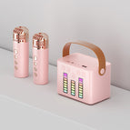 Q2 Audio Pink / Single Microphone