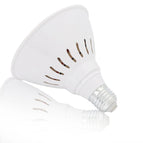 60LED only / Single Bulb