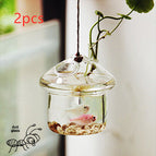 Transparent / 2PCS