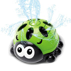 Ladybug