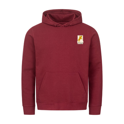 Image for color: burgundy