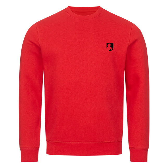 Image for color: bright red