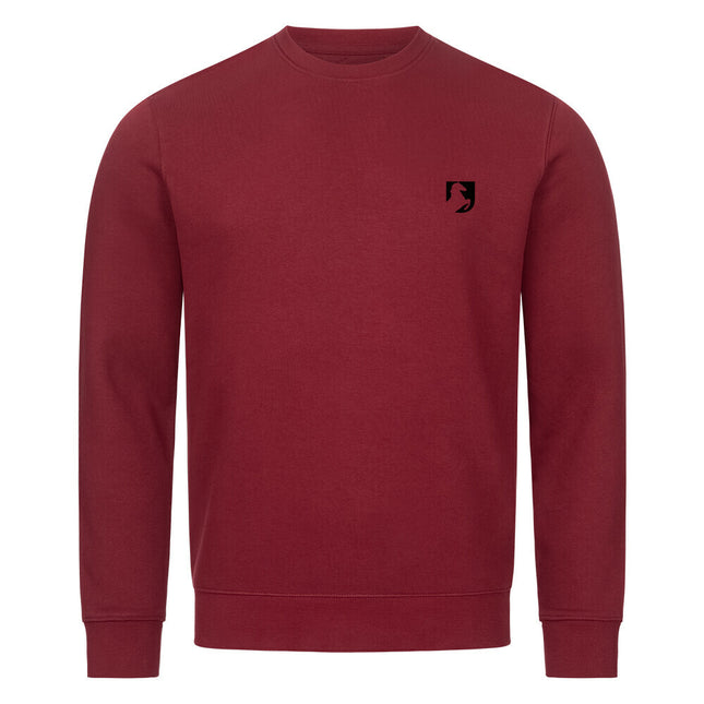 Image for color: burgundy