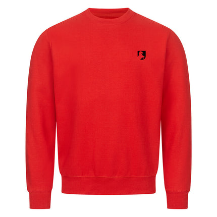 Image for color: red