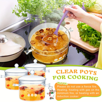 3 Pcs Glass Simmer Pot Heat Resistant Clear Glass Saucepan with Cover Handle