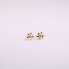 March earrings