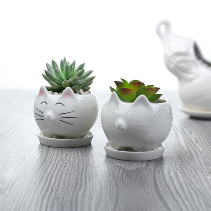 Creative Gardening Balcony Succulent Ceramic Flowerpot Decoration