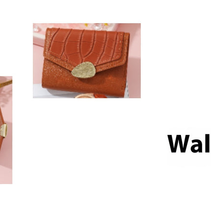 Household Fashion Good Sunglasses Wallet Women's Gift Suit