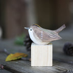 Golden crowned kinglet