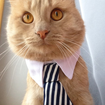 Cute Pet Ties, Dog Collar Cat Collar, Pet Bow Ties, Dog Tie, Smart Looking Pet Costume