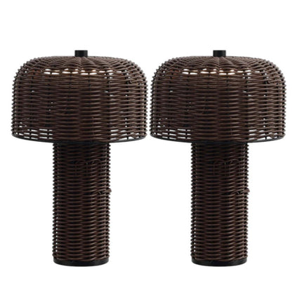 Set of Two 10" Clear USB Table Lamps With Globe Shades