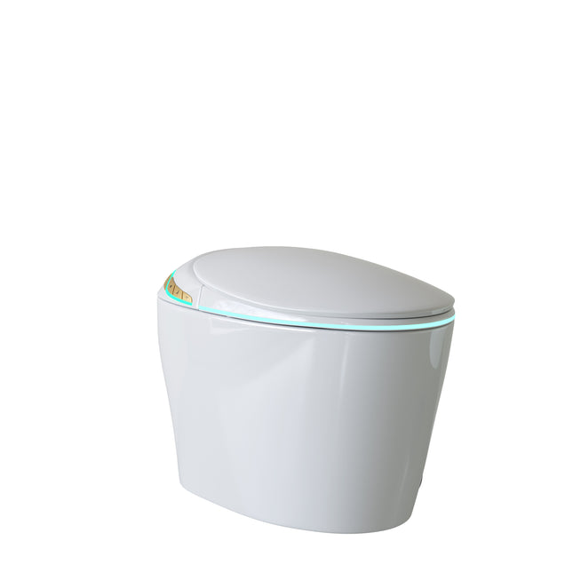 Smart Bidet Toilet with Auto Open/Close Seat, Warm Water Wash, Heated Seat, and Wireless Remote Control in White Ceramic