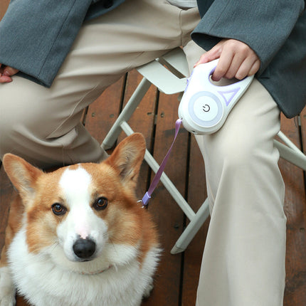 Dog Leash Retractable Leash And Dog Collar Spotlight...