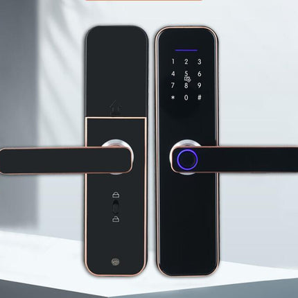 Apartment Office Wooden Door Fingerprint WiFi TTLOCKAPP Electronic Combination Lock