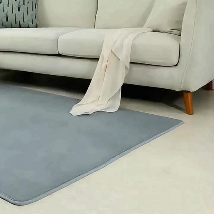 Gray Large Living Room Mat 1pc Coral Velvet Short Pile Soft Minimalist Bedroom Mat Kitchen Mat