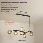 Black smoke gray glass / 12 Watt Led Bulb