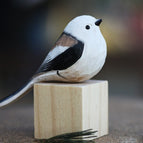 Northern longtailed tit