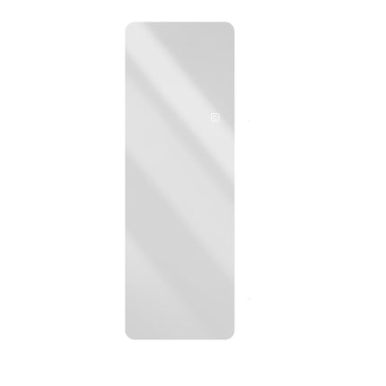 Wall Mounted Full Body Mirror with Dimming Lights in Silver Glass 65x21in