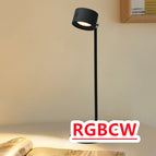 Black / Table Lamp / RGBCW