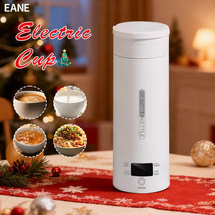 Electric Kettle  Compact Stainless Steel Travel Water Bottle with 4 Temperature Settings, Quick Noodle Cooking Feature,