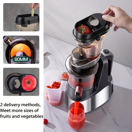 Juicer, 300W Slow Masticating Machines with Large Feed Chute Fit Whole Fruits
