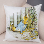 19 Colors / 45 X45cm Without Pillow