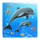 Dolphin