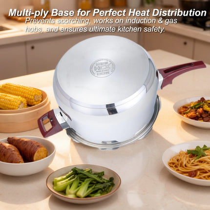 Heavy-Duty 26cm/9L Commercial & Home Pressure Cooker, Triple-Layer Base (1600-Ton Capacity)