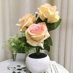 Champagne Rose / 3Head / Charging