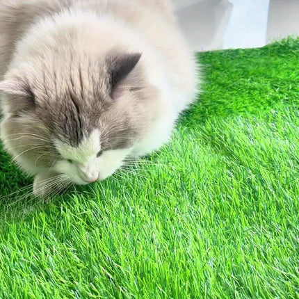 Reusable Pet Training Lawn, Odor Control Artificial Grass Pad Dog Grass Mat, Washable Dog Potty Training Mat Dog Pee Grass Pad Christmas Gift
