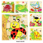 Insect World
