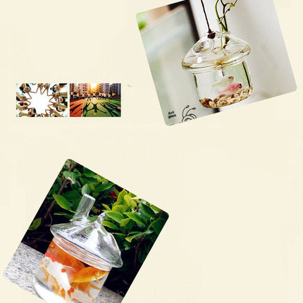 a369acad1fc9ad9a19b9206166cb4323