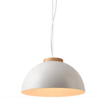 25cm / Without bulb / 1PC