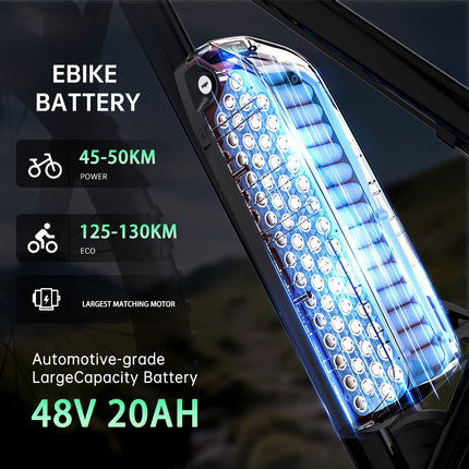 48V 20AH Ebike Battery, Built-in 45A BMS, Equipped With A Safety Anti-theft Lock And USB Interface,