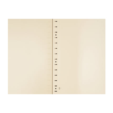 25100603
