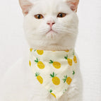 Pineapple Print / XS