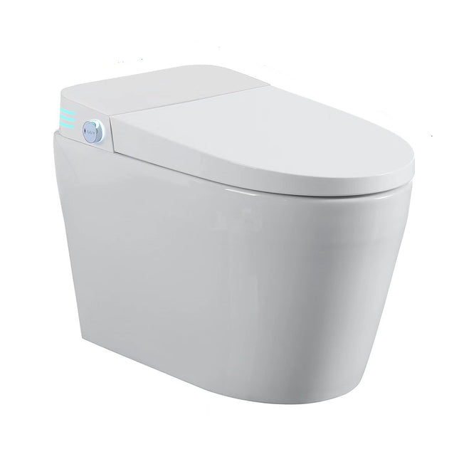 Tankless Smart Toilet With Bidet Built In, One-piece Bidet Toilet Seat, Auto Flush,Heated Seat, Warm Water and Dry, Adjustable Temp,Remote Control Side Know