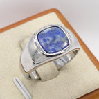 Steel Lapis Lazuli / No 6