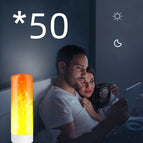 50pcs H2118 flame lamp / USB