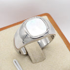 Steel Color White Shell / No 6