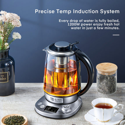 Electric Tea Kettle, 9 Temperature Control Presets Glass Kettle, 1200W Tea Pot with Removable Infuser