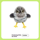 Cuckoo