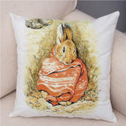 11 Color / 45 X45cm Without Pillow