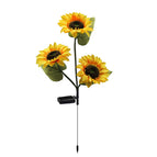 Three Head Sunflower