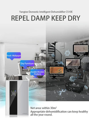 Dehumidifier and Air Purifier 2 in 1 Moisture Absorber Household Mute Bedroom Basement Remote Control Timing External Water Pipe