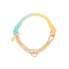 Blue  Yellow / 1 x collar   S