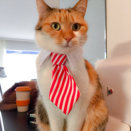 Cute Pet Ties, Dog Collar Cat Collar, Pet Bow Ties, Dog Tie, Smart Looking Pet Costume