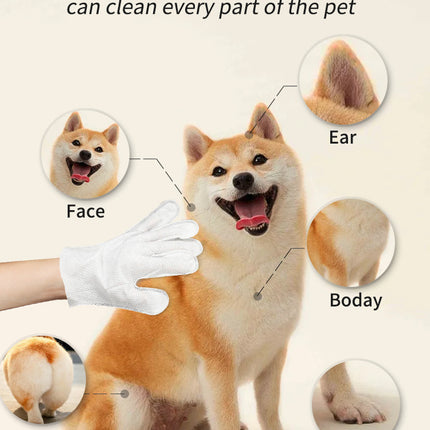 Pet unwashed gloves